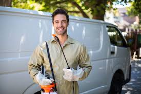 Best Termite Inspection and Treatment  in East Tawas, MI